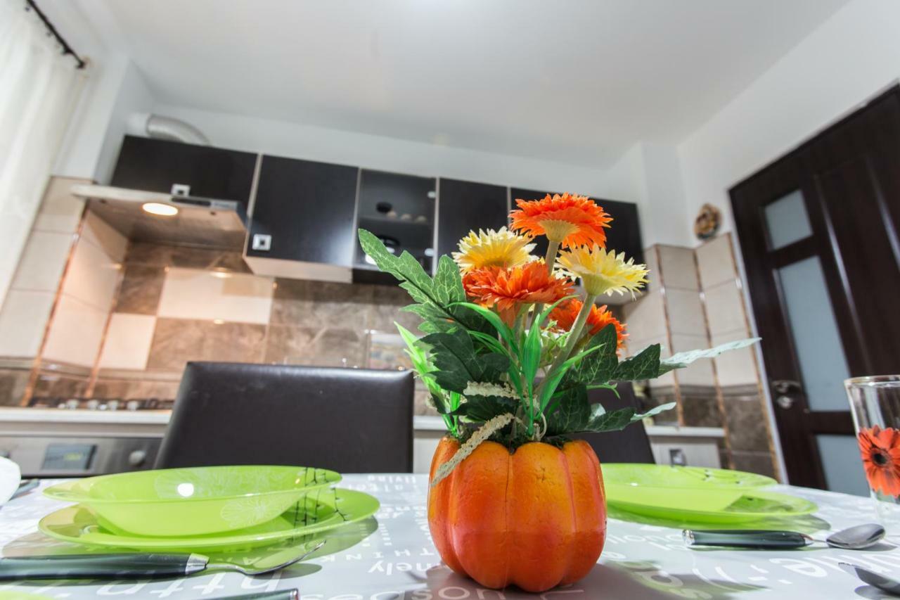 Apartament Feelmount Apartment Busteni Luaran gambar