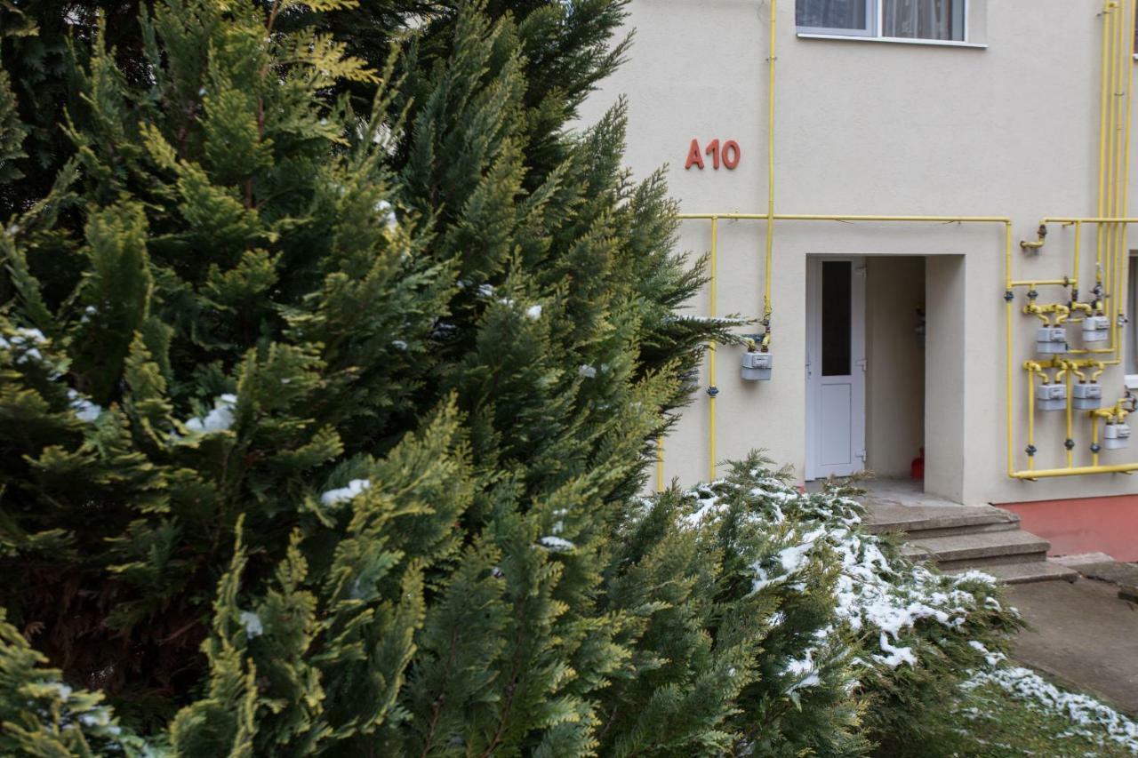 Apartament Feelmount Apartment Busteni Luaran gambar